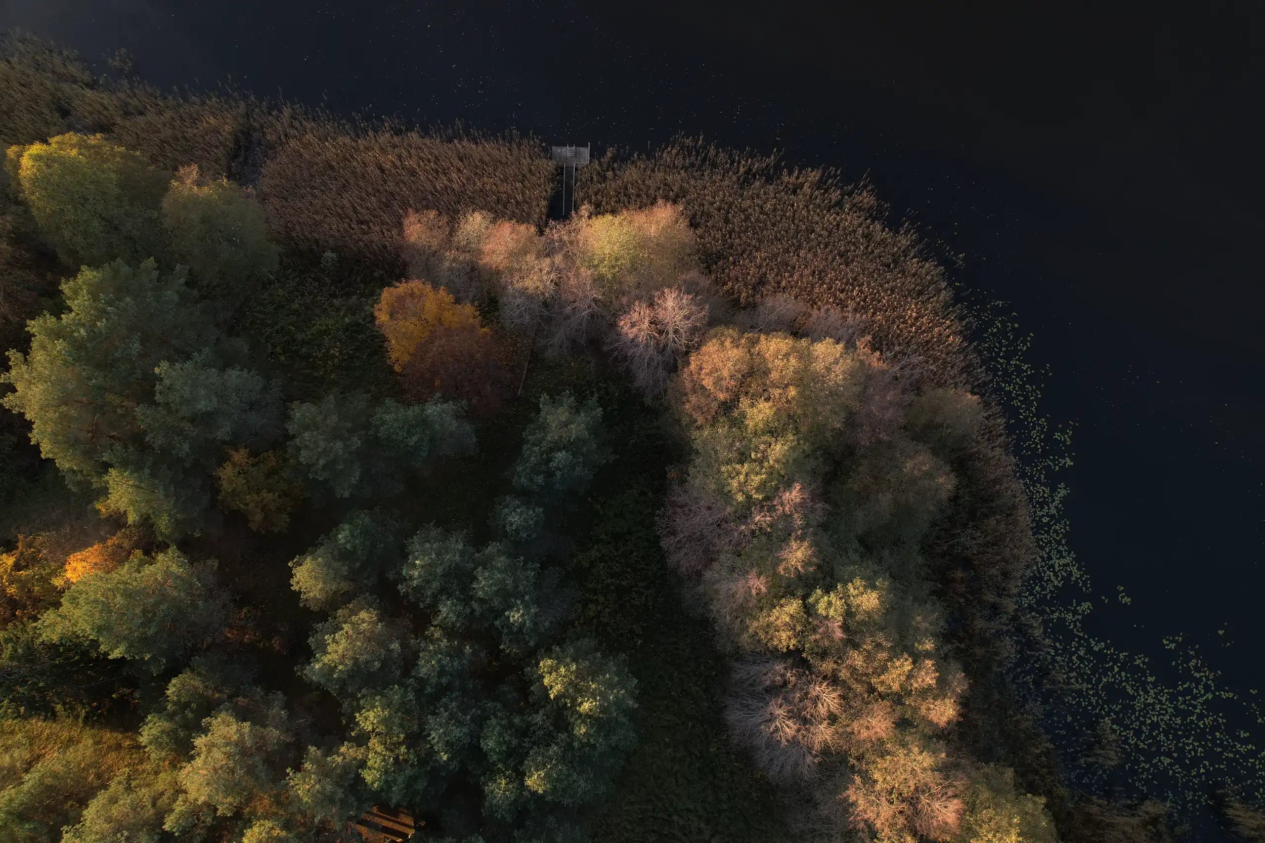 High-altitude view of a vibrant lake shoreline
